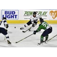 Worcester Railers' Bobby Butler battles Maine Mariners' Connor Doherty