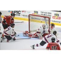 Reading Royals' Kaden Fulcher in action