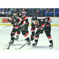 Belleville Senators' Cole Reinhardt, Egor Sokolov And Maxence Guenette In Action