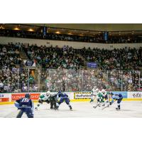 Texas Stars face off with the Milwaukee Admirals