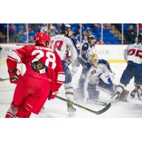 Allen Americans left wing Justin Young rushes to the action