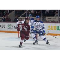 Peterborough Petes' J.R. Avon and Sudbury Wolves' Nathan Twohey in action