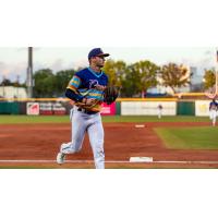 Montgomery Biscuits on game night