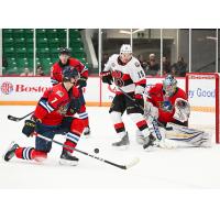 Springfield Thunderbirds' Leo Lööf and Belleville Senators' Matthew Highmore on game night