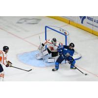 Greenville Swamp Rabbits defend against the Jacksonville Icemen