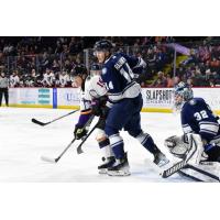 Reading Royals' Brock Caufield and Worcester Railers' Matias Rajaniemi in action