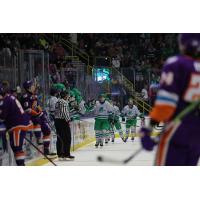 Florida Everblades take a victory lap