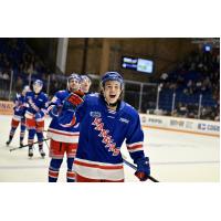 Kitchener Rangers on the ice