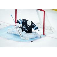 Goaltender Connor Ingram with the Utah Hockey Club