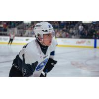 Wenatchee Wild defenseman Lukas McCloskey