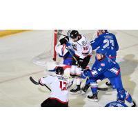 Adirondack Thunder battle the Trois-Rivieres Lions