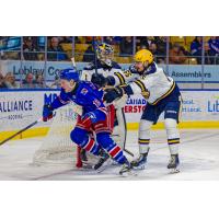 Kitchener Rangers' Lucas Ellinas and Erie Otters' Nicholas Holomego on game night