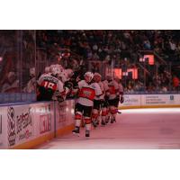 Kansas City Mavericks celebrate win