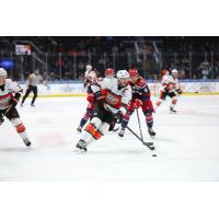 Kansas City Mavericks forward David Cotton vs. the Allen Americans