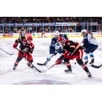 Grand Rapids Griffins' Joe Snively and Nate Danielson battle Milwaukee Admirals' Jake Livingstone and Anthony Angello