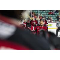 Vancouver Giants head off the ice