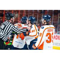 Greenville Swamp Rabbits restrained by the officials