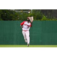 Ottawa Titans outfielder Lamar Briggs