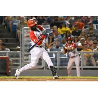 Ottawa Titans outfielder Lamar Briggs