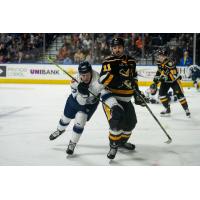 Worcester Railers' Lincoln Hatten versus Wheeling Nailers' Peter Laviolette