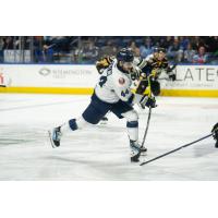 Worcester Railers' Anthony Callin in action