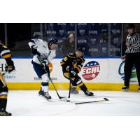 Wheeling Nailers defenseman Chris Ortiz (right) vs. the Worcester Railers