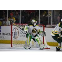 Sioux City Musketeers goaltender Samuel Urban