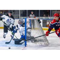 Mark Duarte of the Allen Americans circles the Wichita Thunder goal