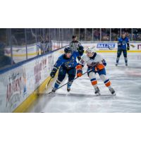 Springfield Thunderbirds forward Hugh McGing (left) vs. the Bridgeport Islanders