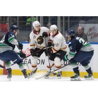 Vancouver Giants centres Brett Olson (left) and Adam Titlbach