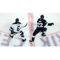 Wichita Thunder defenseman T.J. Lloyd (left) at the ready