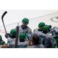 Florida Everblades are all smiles along the bench