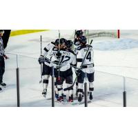 Wichita Thunder huddles against the Utah Grizzlies