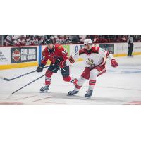 Grand Rapids Griffins defenseman Shai Buium (right) vs. the Rockford IceHogs