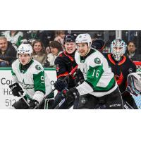 Texas Stars' Justin Hryckowian and Curtis McKenzie and Coachella Valley Firebirds' Ty Nelson on game night