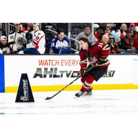 Tucson Roadrunners forward Cameron Hebig