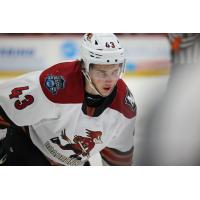 Tucson Roadrunners forward Julian Lutz