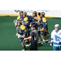Georgia Swarm Celebrates a Goal vs. the Rochester Knighthawks
