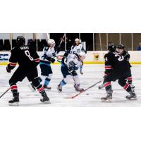 Defenseman Carver Watson with the Madison Capitols