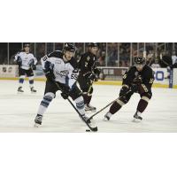 Atlanta Gladiators vs. the Idaho Steelheads