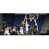 NBL Canada Action