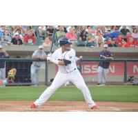 Somerset Patriots C/INF David Vidal