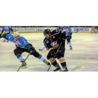 Johnny Lazo of the Colorado Eagles