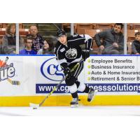 Manchester Monarchs Forward Maxim Kitsyn