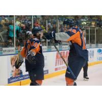 Flint Firebirds Celebrate a Goal