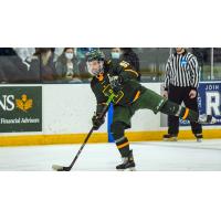 Ryan Romeo on the ice for SUNY Brockport