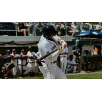 RECAP: Lakeshore Chinooks 5, Fond Du Lac Dock Spiders 2