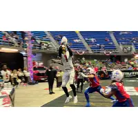 Jacksonville Sharks wide receiver Devin Wilson scores against the San Antonio Gunslingers